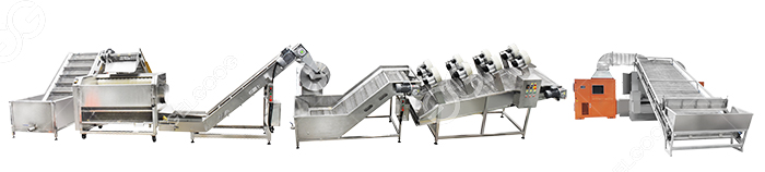 dried ginger processing line