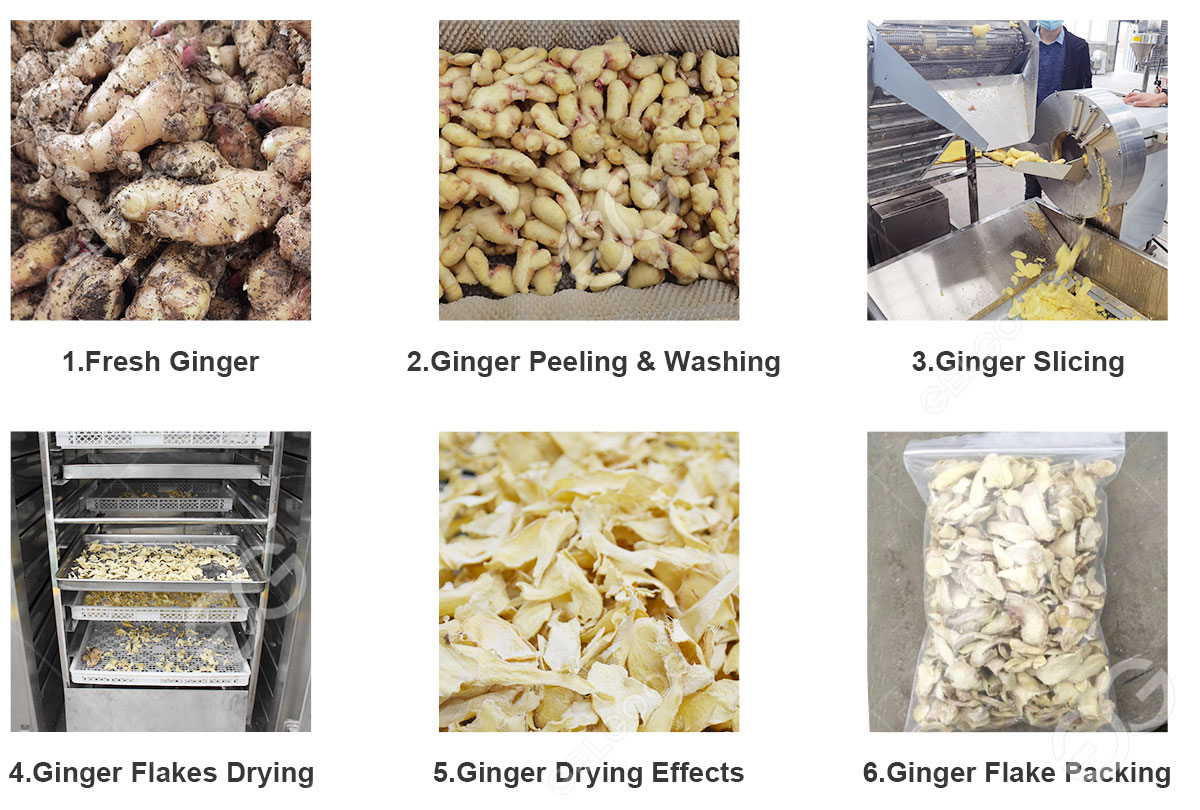 dry ginger processing line