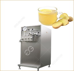 ginger juice homogenizer