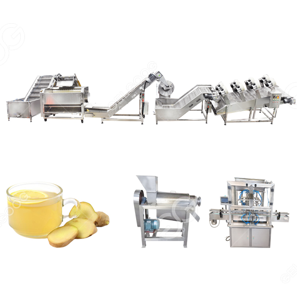 ginger juice processing machine