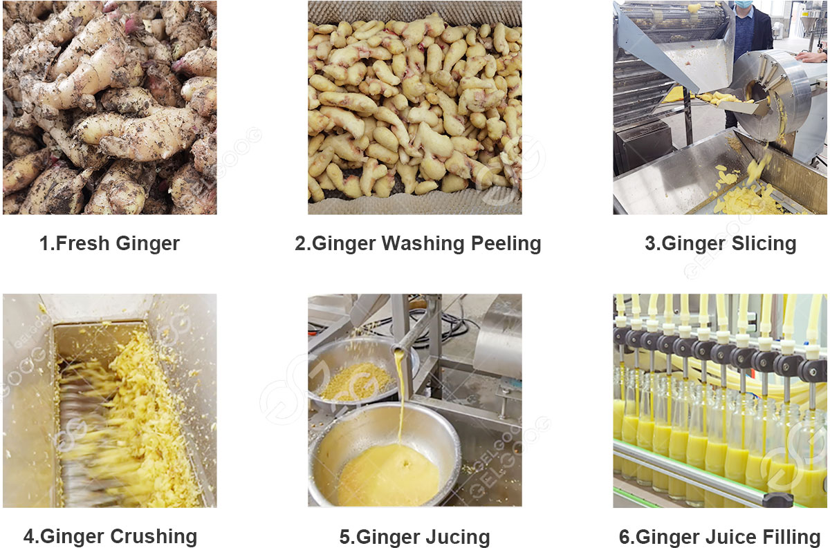 ginger jucie processing machine