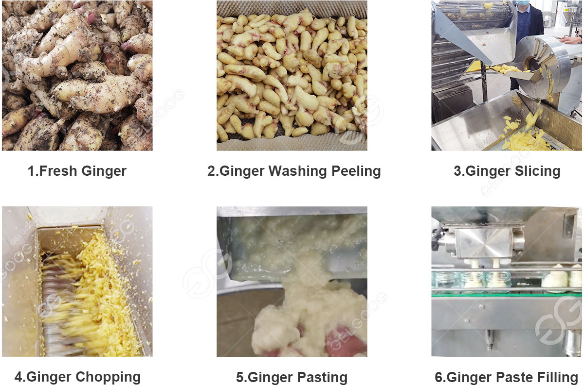 ginger paste processing machine