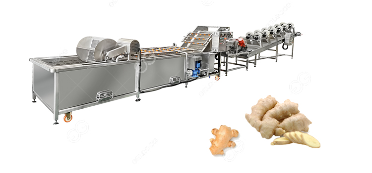 Indonesia Customer Bought the Ginger Washing And Drying Machine