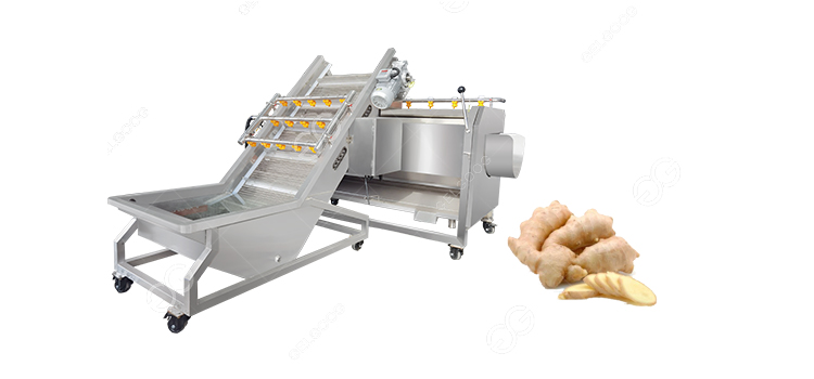 Ginger Washing Peeling Machine Sold to Thailand